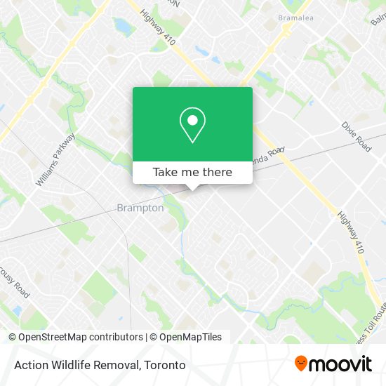 Action Wildlife Removal map