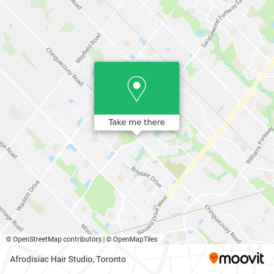 Afrodisiac Hair Studio plan