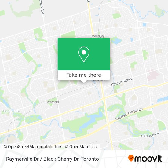 Raymerville Dr / Black Cherry Dr plan