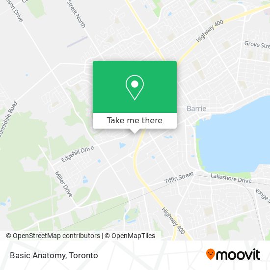 Basic Anatomy map