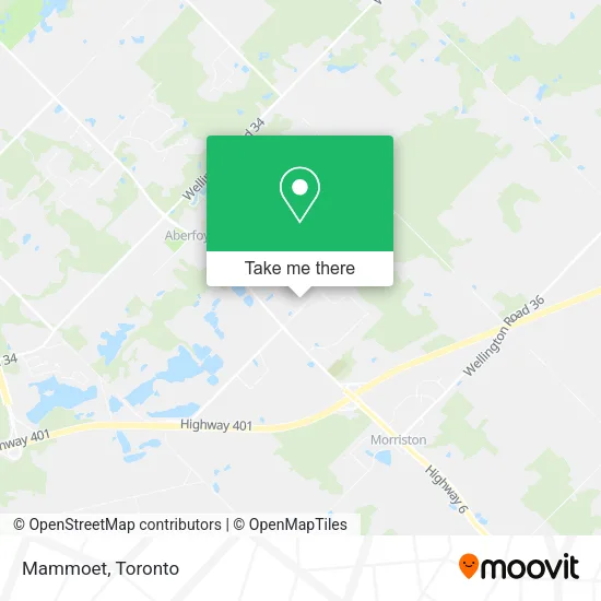 Mammoet map