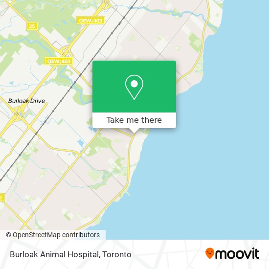 Burloak Animal Hospital plan