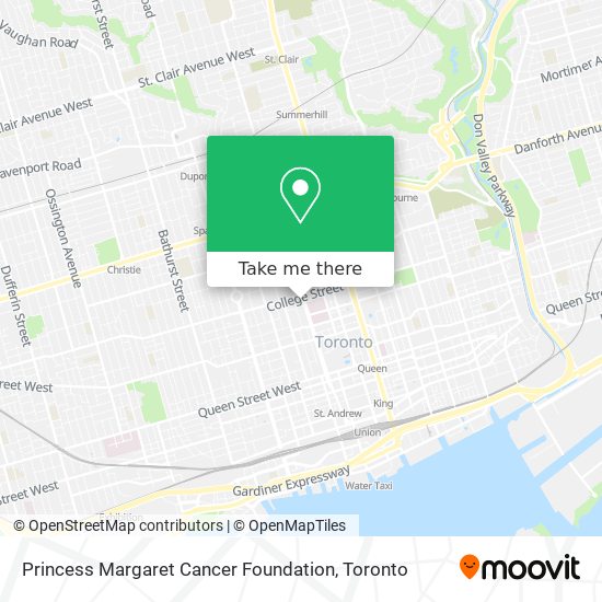 Princess Margaret Cancer Foundation plan