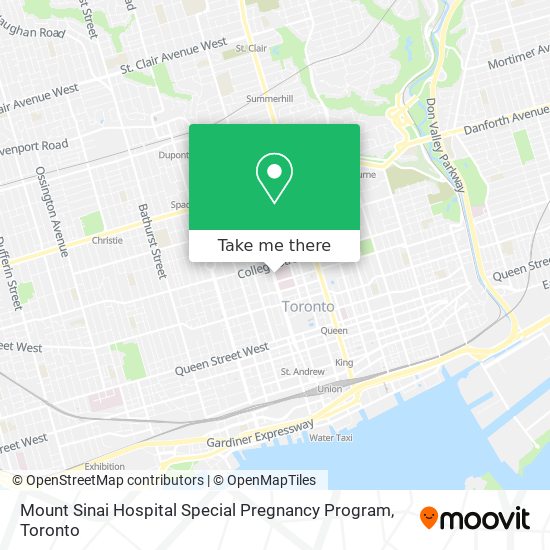 Mount Sinai Hospital Special Pregnancy Program plan