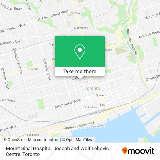 Mount Sinai Hospital, Joseph and Wolf Lebovic Centre plan