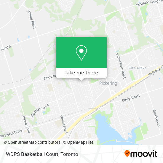 WDPS Basketball Court map