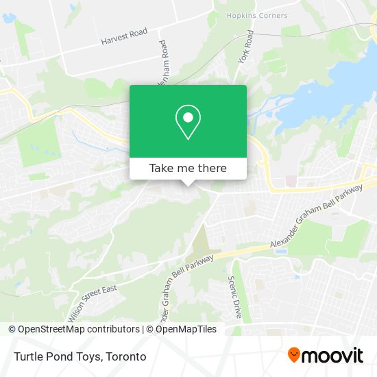 Turtle Pond Toys map