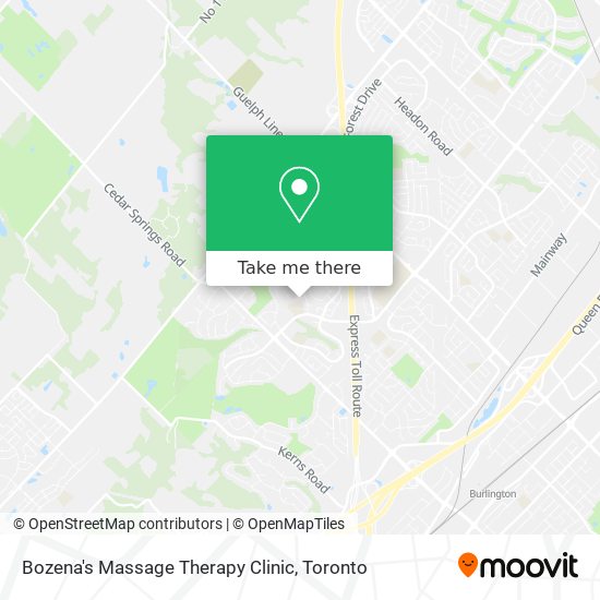 Bozena's Massage Therapy Clinic plan