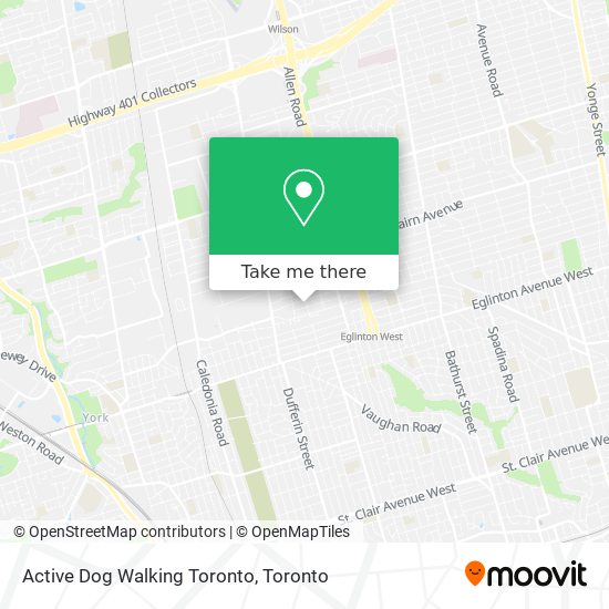 Active Dog Walking Toronto plan
