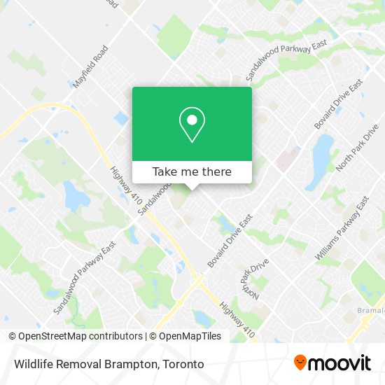 Wildlife Removal Brampton plan