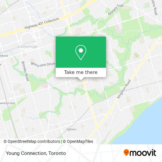 Young Connection map