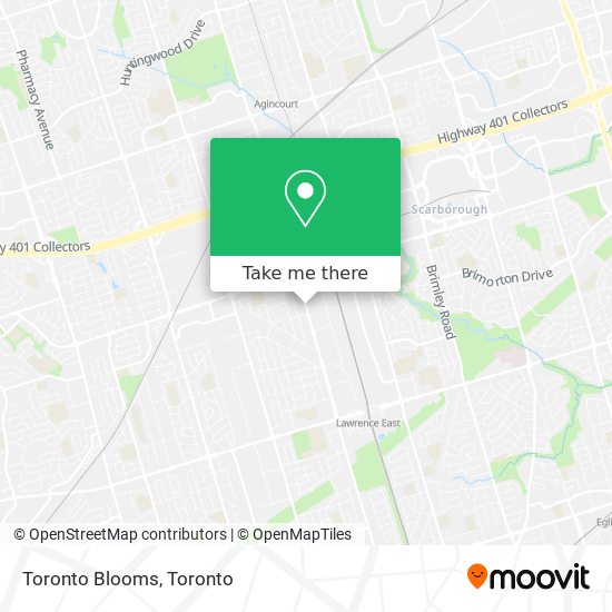 Toronto Blooms map