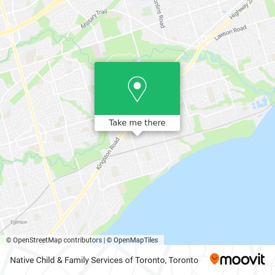Native Child & Family Services of Toronto plan