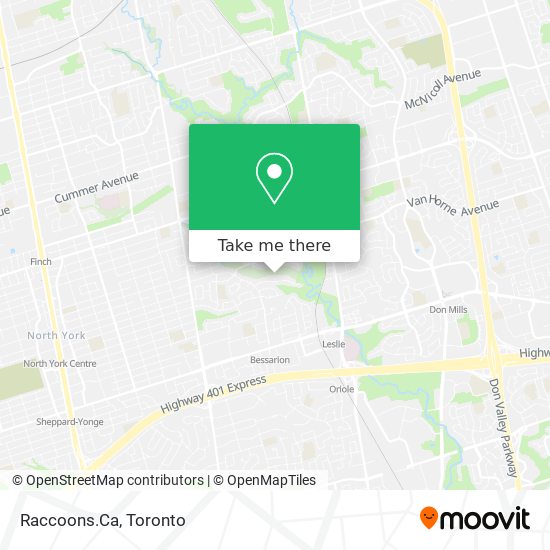 Raccoons.Ca plan