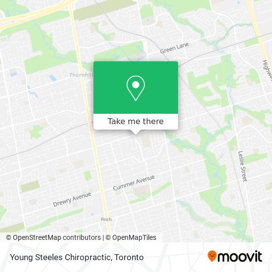 Young Steeles Chiropractic map