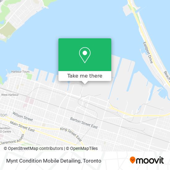 Mynt Condition Mobile Detailing map