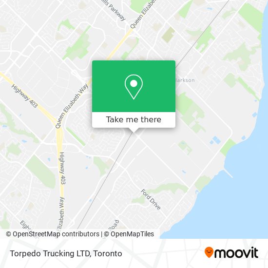 Torpedo Trucking LTD plan