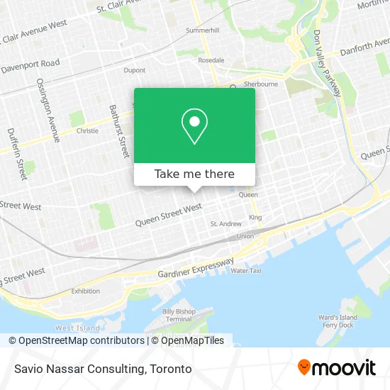 Savio Nassar Consulting plan