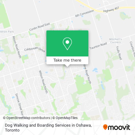 Dog Walking and Boarding Services in Oshawa plan