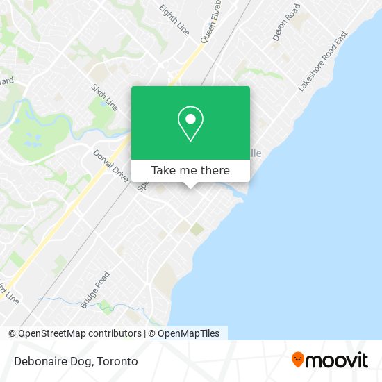 Debonaire Dog map