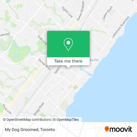 My Dog Groomed map