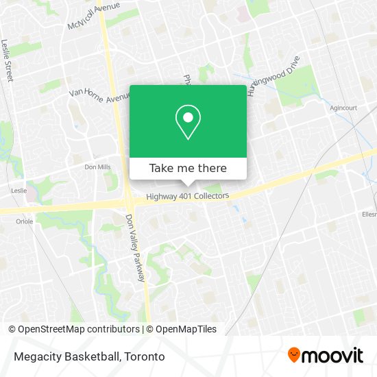 Megacity Basketball plan