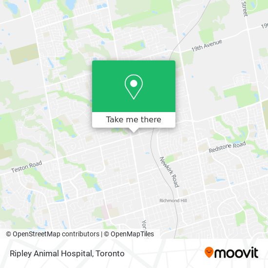 Ripley Animal Hospital plan