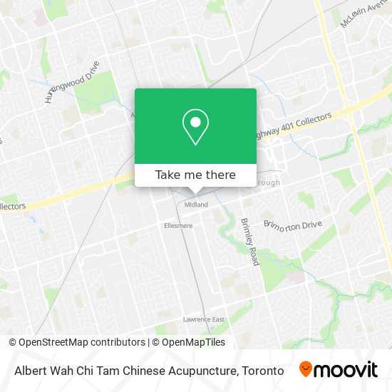Albert Wah Chi Tam Chinese Acupuncture map