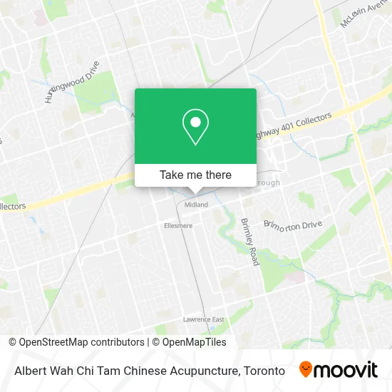 Albert Wah Chi Tam Chinese Acupuncture map