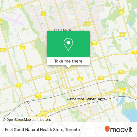 Feel Good Natural Health Store plan