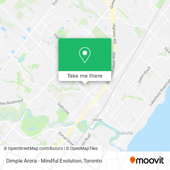 Dimple Arora - Mindful Evolution map