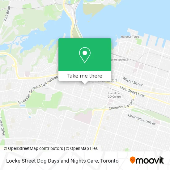 Locke Street Dog Days and Nights Care map