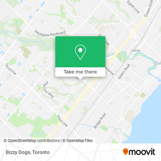 Bizzy Dogs map