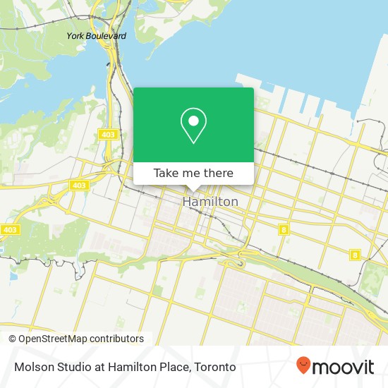 Molson Studio at Hamilton Place plan