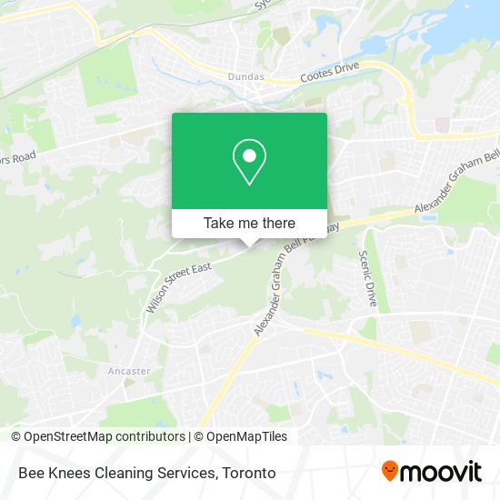 Bee Knees Cleaning Services map