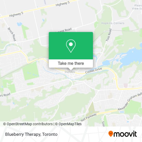 Blueberry Therapy map