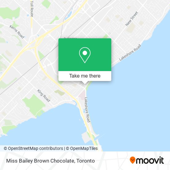 Miss Bailey Brown Chocolate map