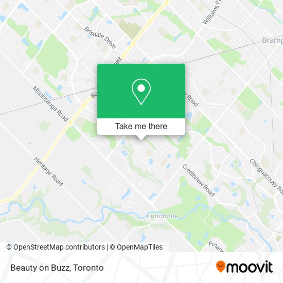 Beauty on Buzz map