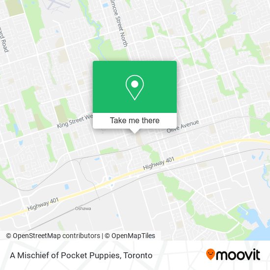 A Mischief of Pocket Puppies map