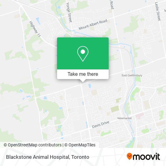 Blackstone Animal Hospital map