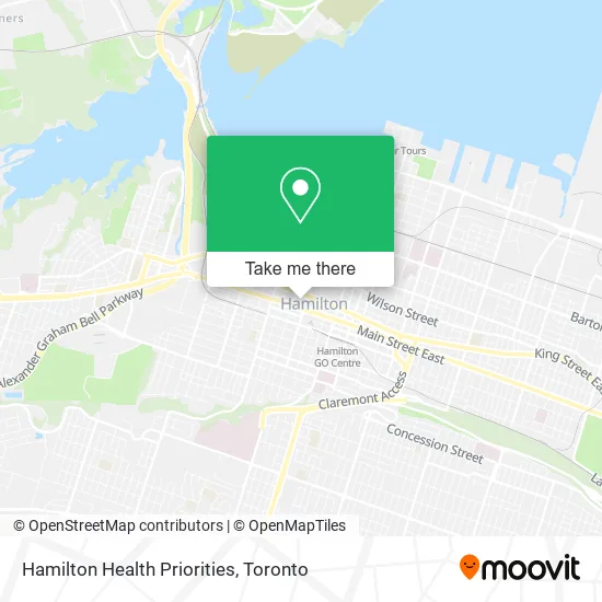 Hamilton Health Priorities map