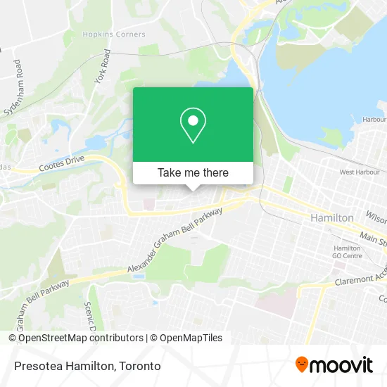 Presotea Hamilton map