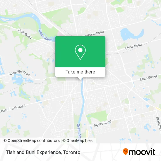 Tish and Buni Experience map