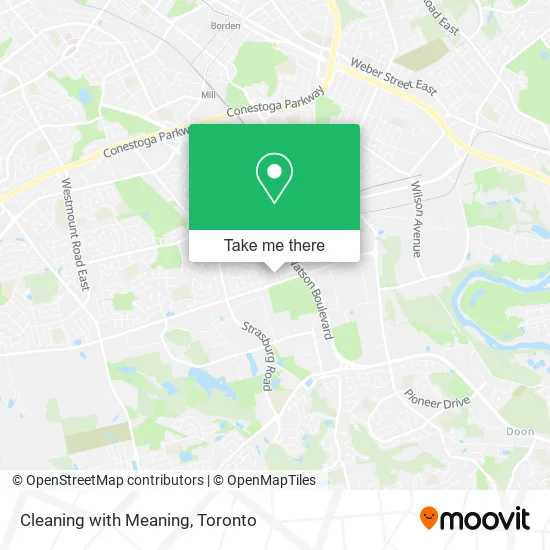 Cleaning with Meaning plan