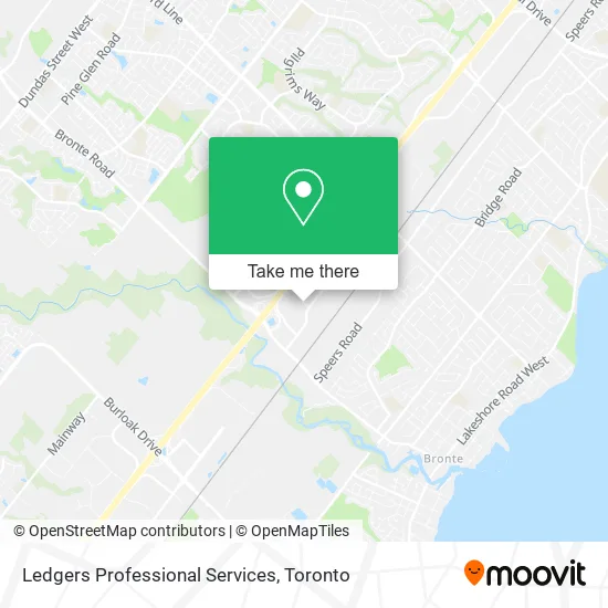 Ledgers Professional Services map