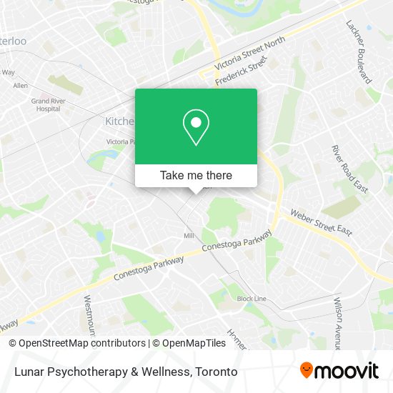 Lunar Psychotherapy & Wellness plan
