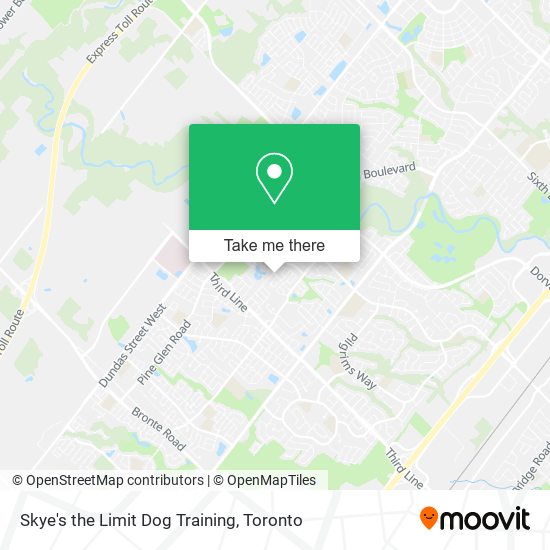 Skye's the Limit Dog Training map