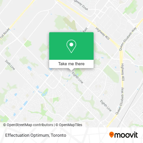 Effectuation Optimum map