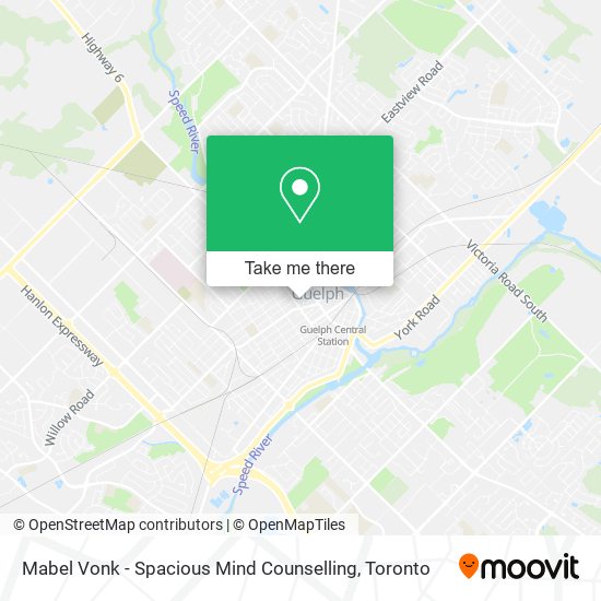 Mabel Vonk - Spacious Mind Counselling plan