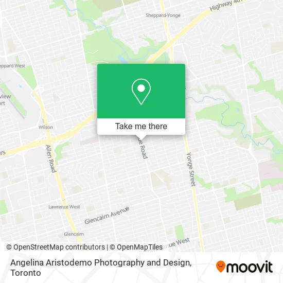 Angelina Aristodemo Photography and Design plan